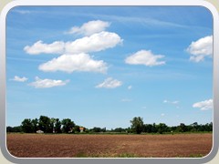 d80-200900515 010