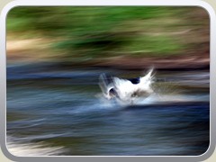 D80-20090082O001