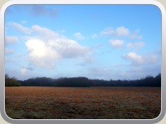 lumix08-04-2010-0010