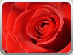 macro1124